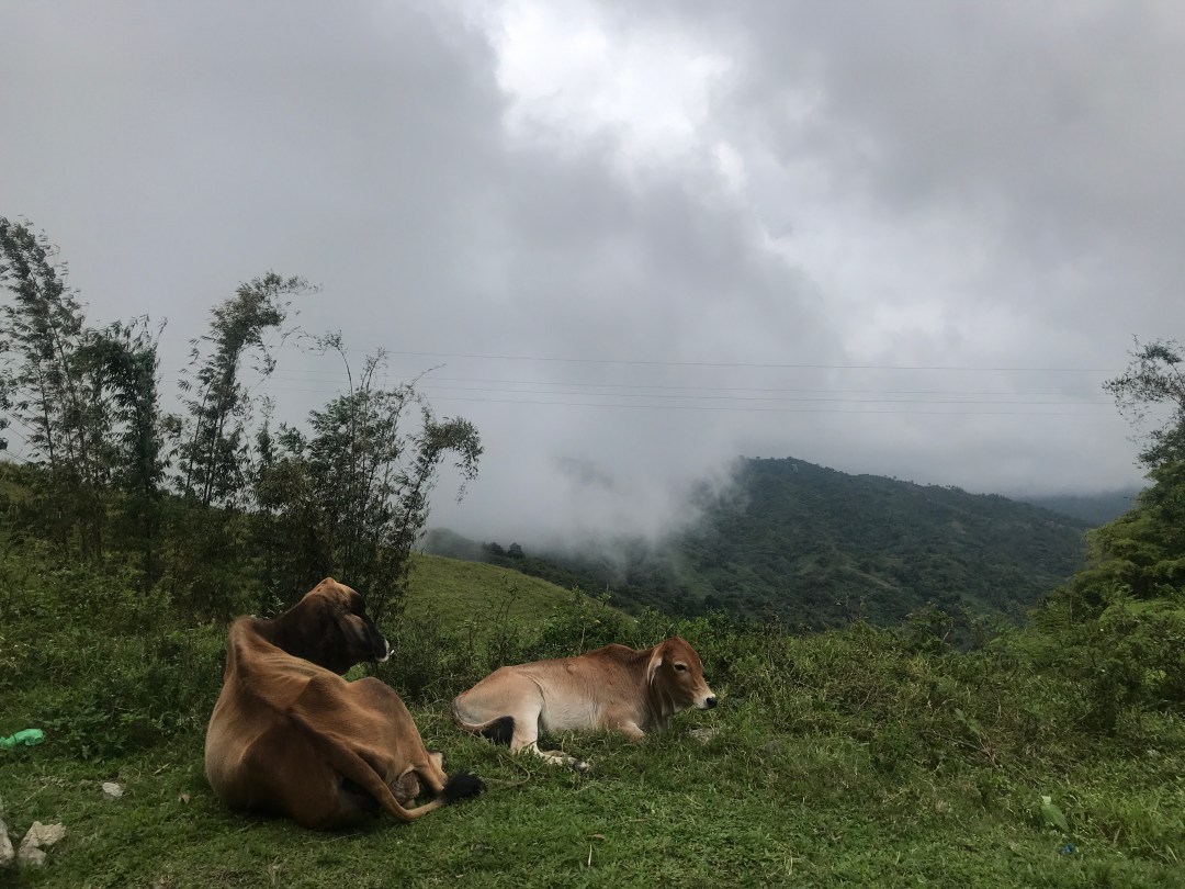 Balamban find: Belen's Inato