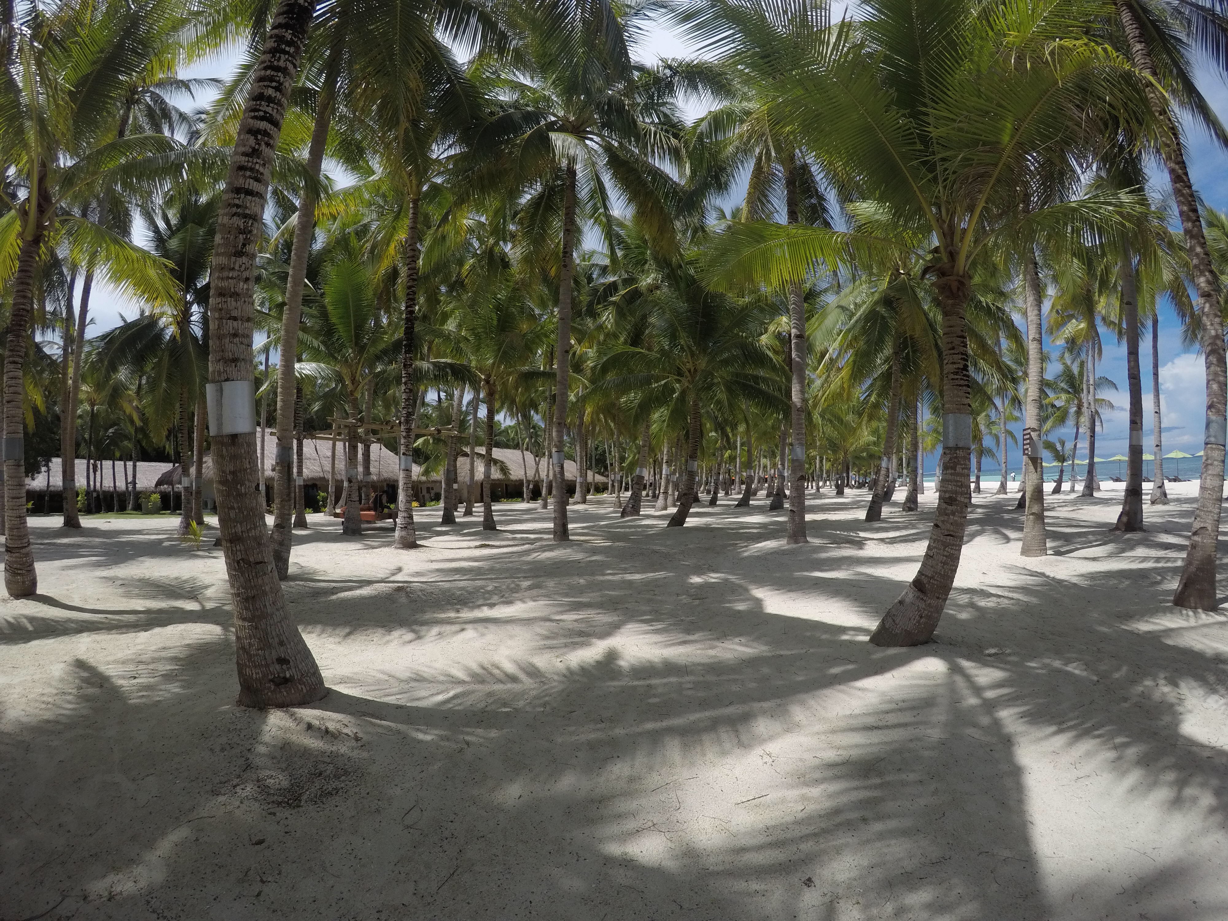 Bohol find: South Palms Resort Panglao