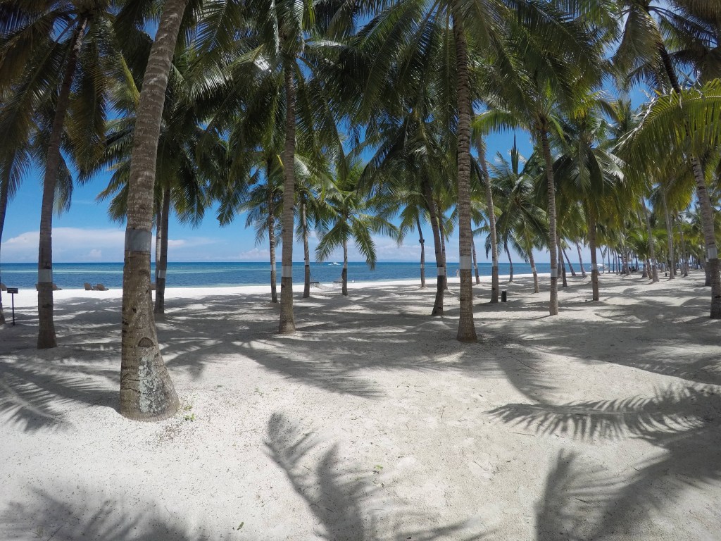 Bohol find: South Palms Resort Panglao
