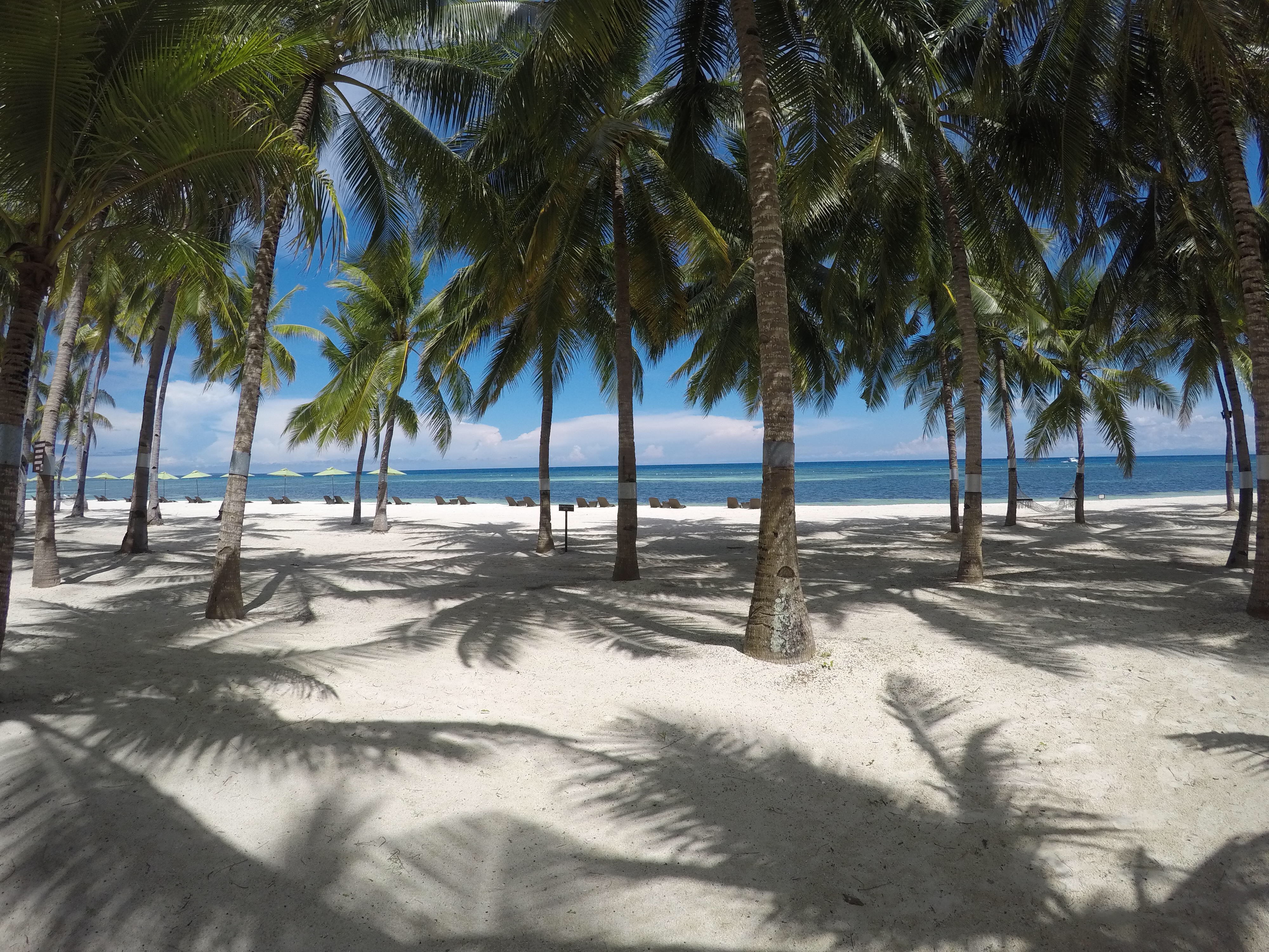 Bohol find: South Palms Resort Panglao