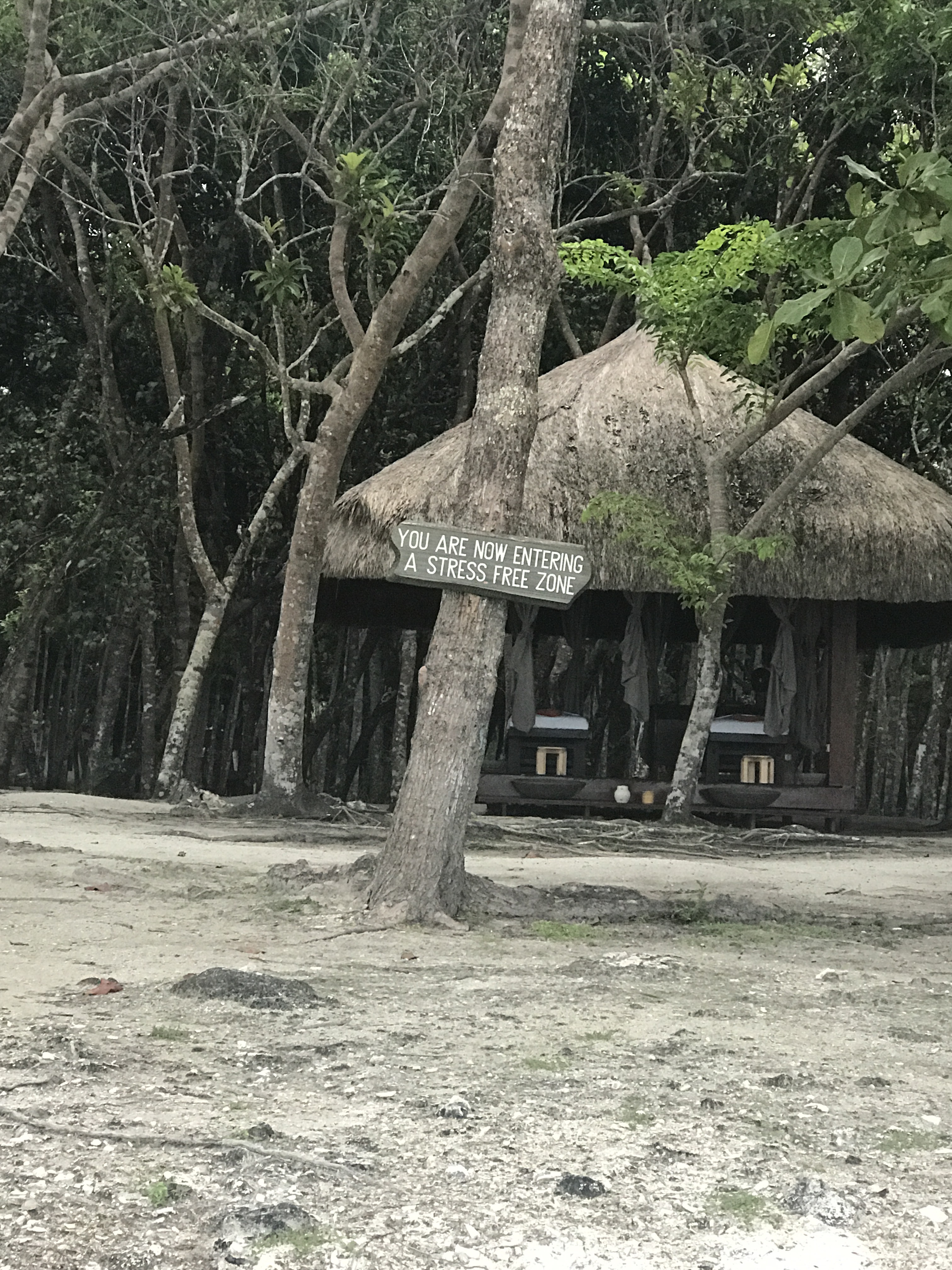 Bohol find: South Palms Resort Panglao