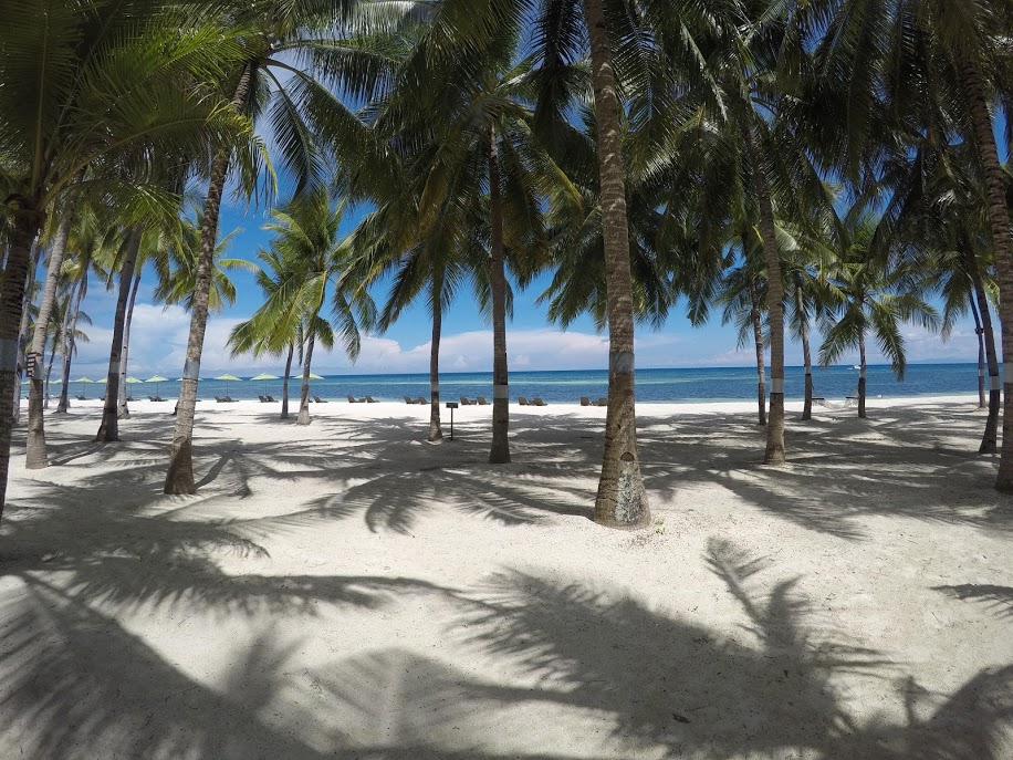Bohol find: South Palms Resort Panglao